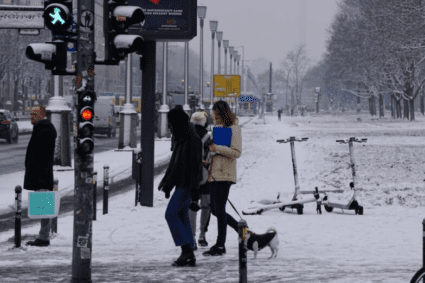 Noaptea minții la Berlin: sarea, pe punctul de a fi interzisă