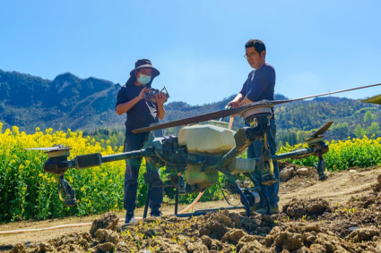 Dronele și inteligența artificială transformă agricultura în China