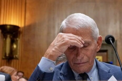 Fauci se ascunde, bomba cenzurii ABC explodează